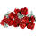 LEGO Botanicals 10328 Bukiet róż - 1202085 - zdjęcie 3